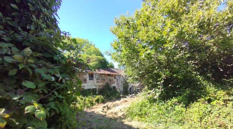 Lugo - A Aldea - 41681m2
