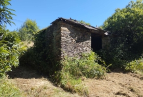 Begonte 41681&nbsp;m² 