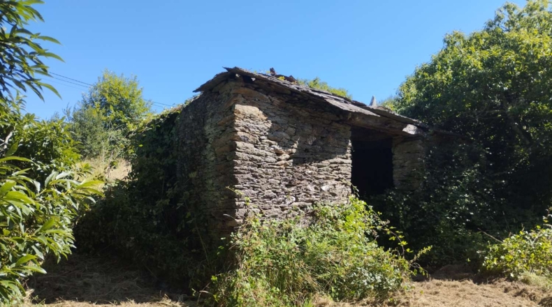 Lugo - A Aldea - 41681m2