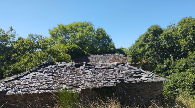Lugo - A Aldea - 41681m2