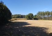 Terreno no urbanizable en venta en Begonte ref: TR325131 foto