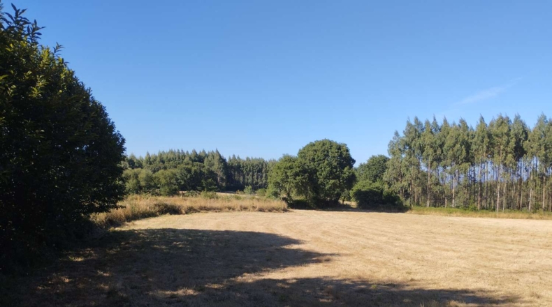 Луго - Esportel - 22068m2