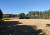 Terreno no urbanizable en venta en Begonte ref: TR325131 foto