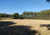 Terreno no urbanizable en venta en Begonte ref: TR325131 foto