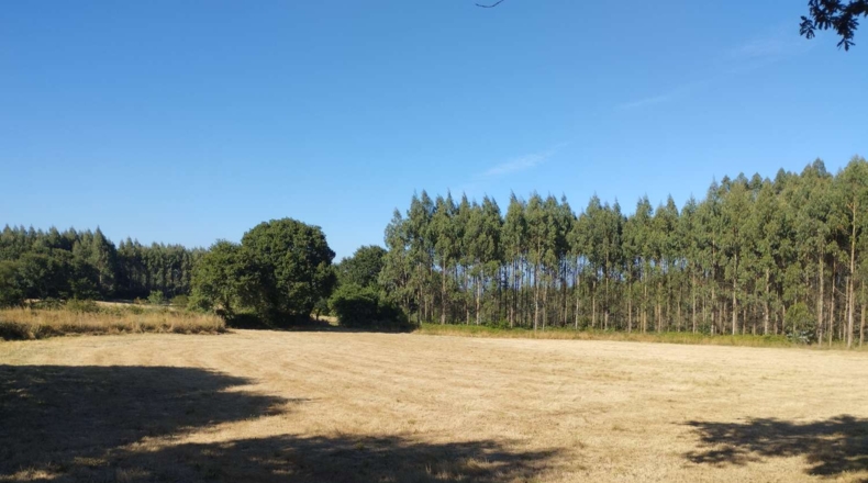 Луго - Esportel - 22068m2