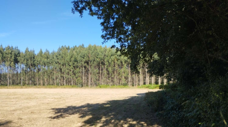 Луго - Esportel - 22068m2