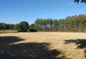 Terreno no urbanizable en venta en Begonte ref: TR325131 foto