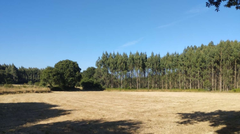 Луго - Esportel - 22068m2
