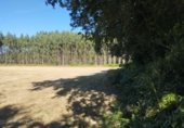 Terreno no urbanizable en venta en Begonte ref: TR325131 foto