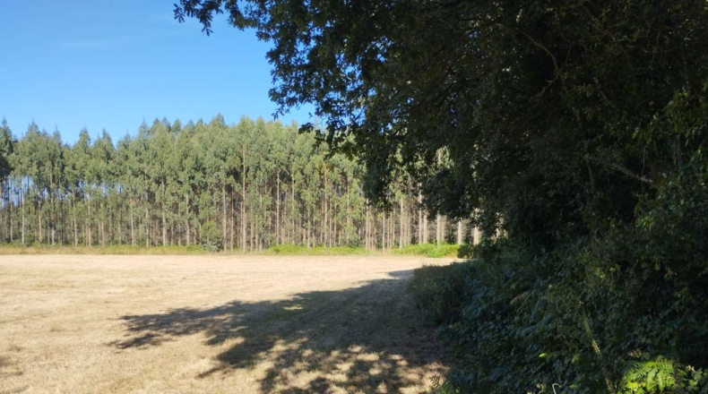 Луго - Esportel - 22068m2