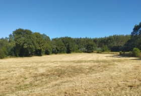 Begonte 8035&nbsp;m²