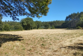 Begonte 8035&nbsp;m²