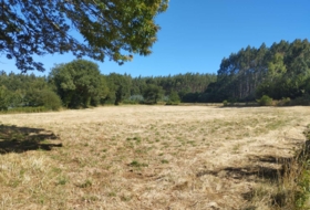 Begonte 8035&nbsp;m²