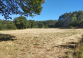 Terreno no urbanizable en venta en Begonte ref: TR325132 foto