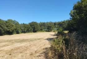 Begonte 8035&nbsp;m²