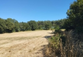 Terreno no urbanizable en venta en Begonte ref: TR325132 foto