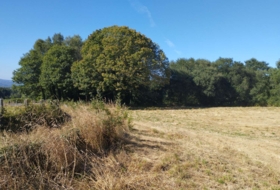 Begonte 8035&nbsp;m²