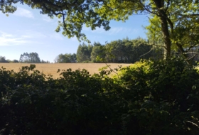Begonte 37243&nbsp;m²