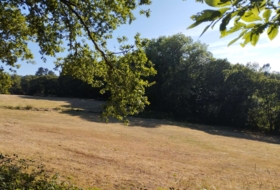 Begonte 37243&nbsp;m²