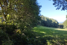 Begonte 37243&nbsp;m²