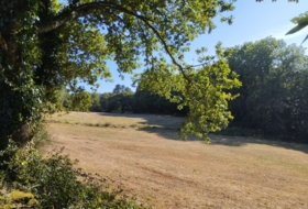 Begonte 37243&nbsp;m²