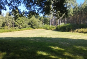 Begonte 37243&nbsp;m²