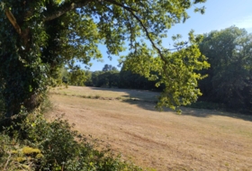 Begonte 37243&nbsp;m²