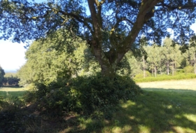 Begonte 37243&nbsp;m²