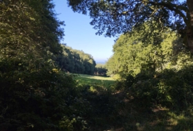 Begonte 37243&nbsp;m²