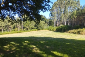 Begonte 37243&nbsp;m²