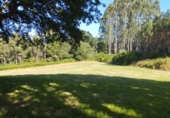 Terreno no urbanizable en venta en Begonte ref: TR325133 foto