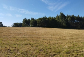 Begonte 37243&nbsp;m²