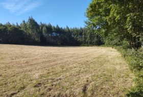 Begonte 37243&nbsp;m²