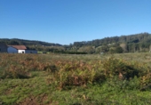Parcel·la urbanitzable en venda a Avenida do Marqués de San Sadurniño ref.: TR346757 foto