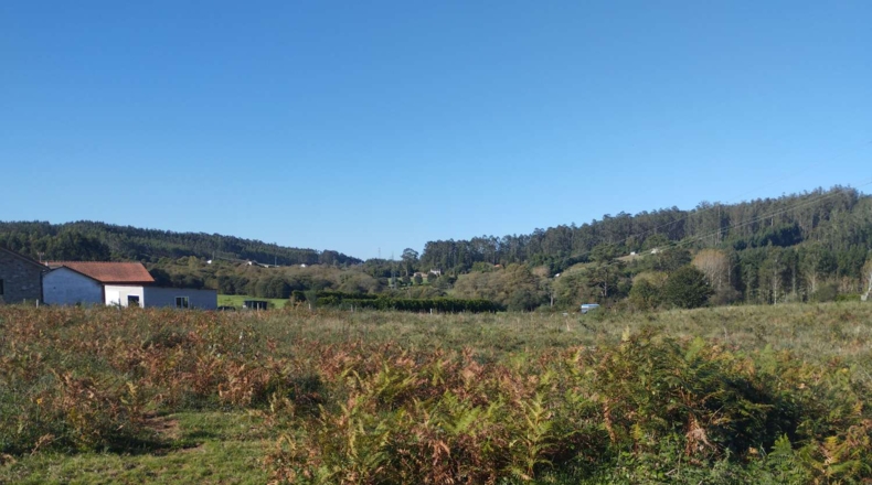 La Coruña - Avenida do Marqués de Figueroa - 5600m2
