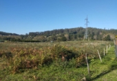 Parcel·la urbanitzable en venda a Avenida do Marqués de San Sadurniño ref.: TR346757 foto