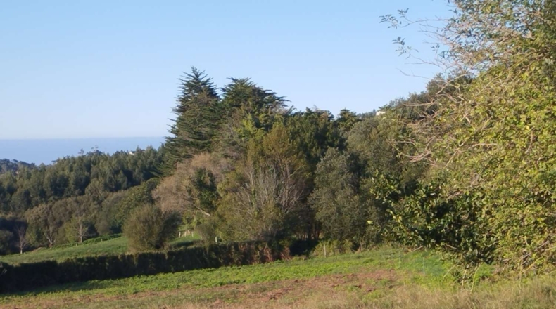 La Coruña - Valdoviño - 3200m2