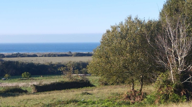 La Coruña - Valdoviño - 3200m2