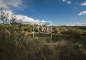 Non-developable land for sale on Ma-5020. 07620, Llucmajor, ref: TR231628 photo