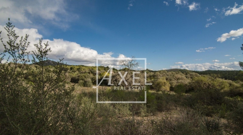 Islas Baleares - Lluchmayor - 53872m2