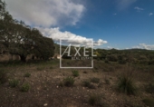 Non-developable land for sale on Ma-5020. 07620, Llucmajor, ref: TR231628 photo