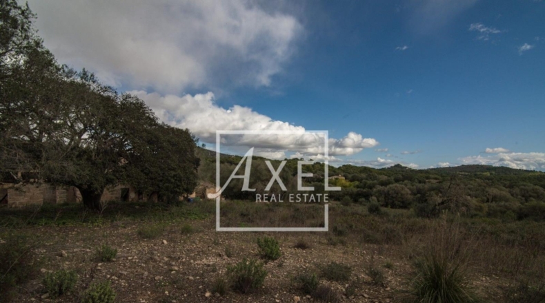 Islas Baleares - Lluchmayor - 53872m2