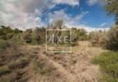 Non-developable land for sale on Ma-5020. 07620, Llucmajor, ref: TR231628 photo