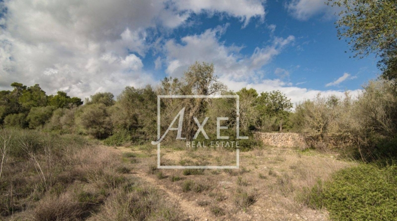 Islas Baleares - Lluchmayor - 53872m2