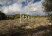 Non-developable land for sale on Ma-5020. 07620, Llucmajor, ref: TR231628 photo
