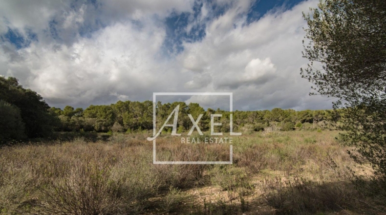Islas Baleares - Lluchmayor - 53872m2