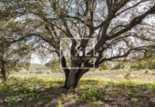 Non-developable land for sale on Ma-5020. 07620, Llucmajor, ref: TR231628 photo