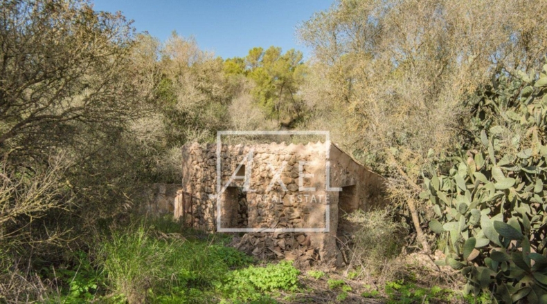Islas Baleares - Lluchmayor - 53872m2