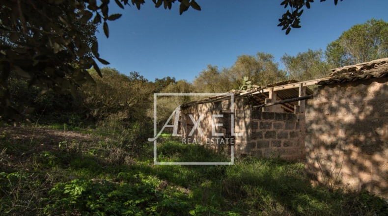 Islas Baleares - Lluchmayor - 53872m2