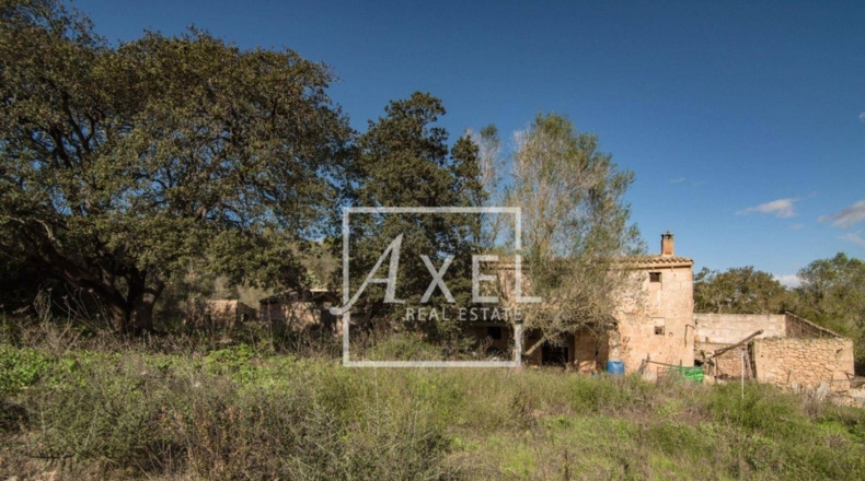Islas Baleares - Lluchmayor - 53872m2